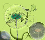 Персональная галерея Влада Казанцева