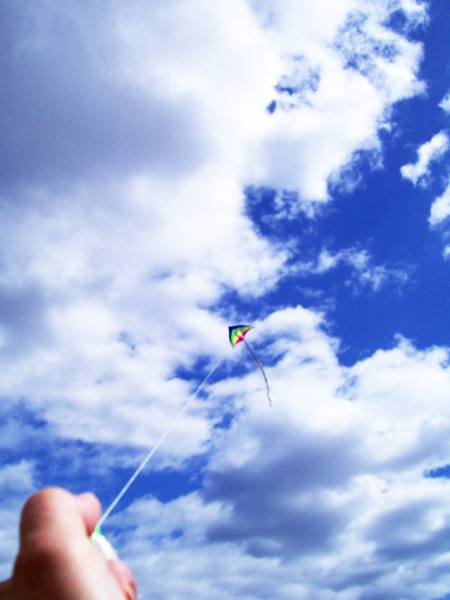 Lets Go Fly A Kite
---------
 (  ,      )