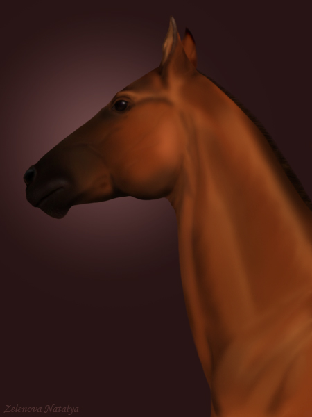 �������� Akhal-Teke
---------
 (�������� �� �����������, ����� ������� ��� � ������ �����)