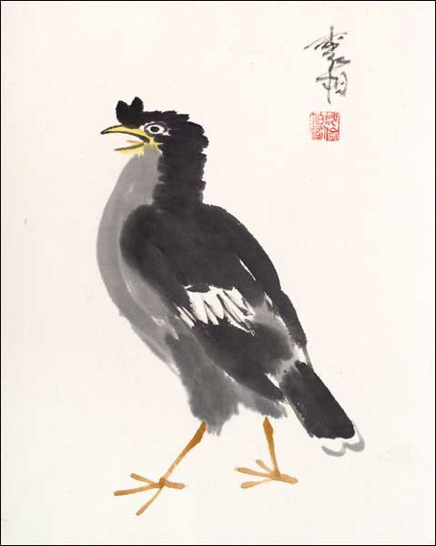 This is not a chicken.
---------
 (�������� �� �����������, ����� ������� ��� � ������ �����)